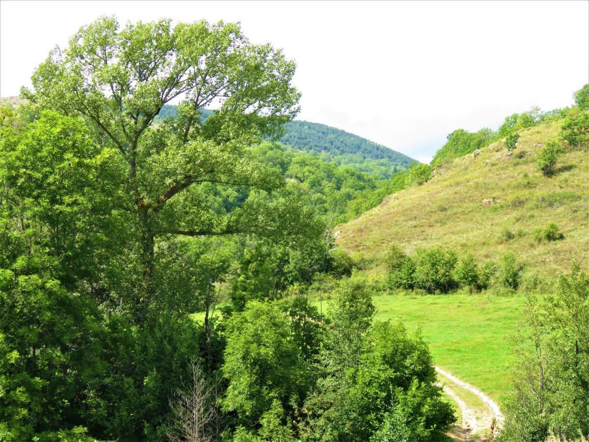 Vaque Villeneuve Des Escaldes Angoustrine 外观 照片